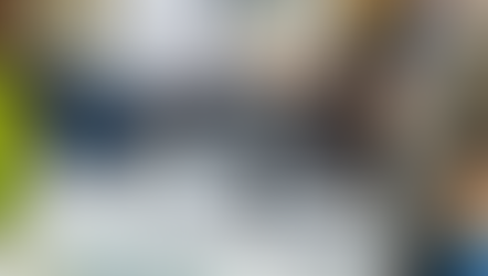 2020: A Prosperous Year for the Gun Industry