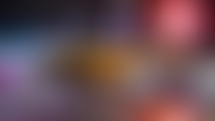 What You Missed During the 2020 Election