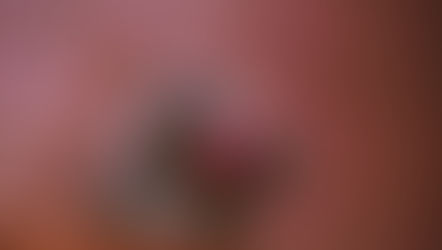 Instagram Meme Competition Winner