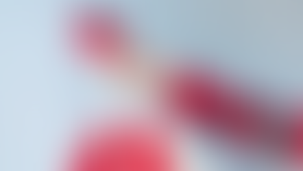 Ways to be Sustainable During the Holidays