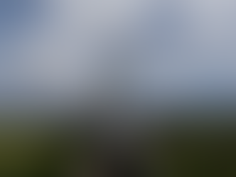 Wild and Serene in a Thousand Shades of Green