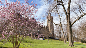 Travel Photo Journal: Architecture and Landscape in PA and NY