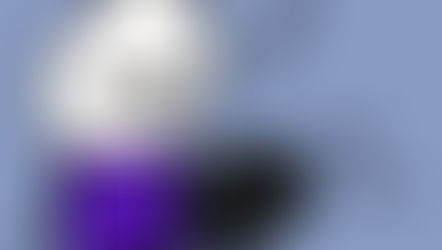 Part 7: Life, Death, Tacos, and Hot Pockets