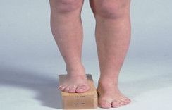 short-leg.jpg