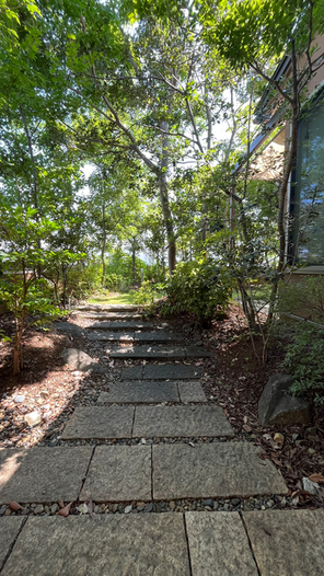 梅雨明けました