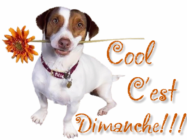 Cool dimanche.gif