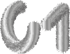 SITE11.png