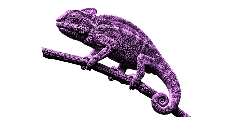 Chameleon.png