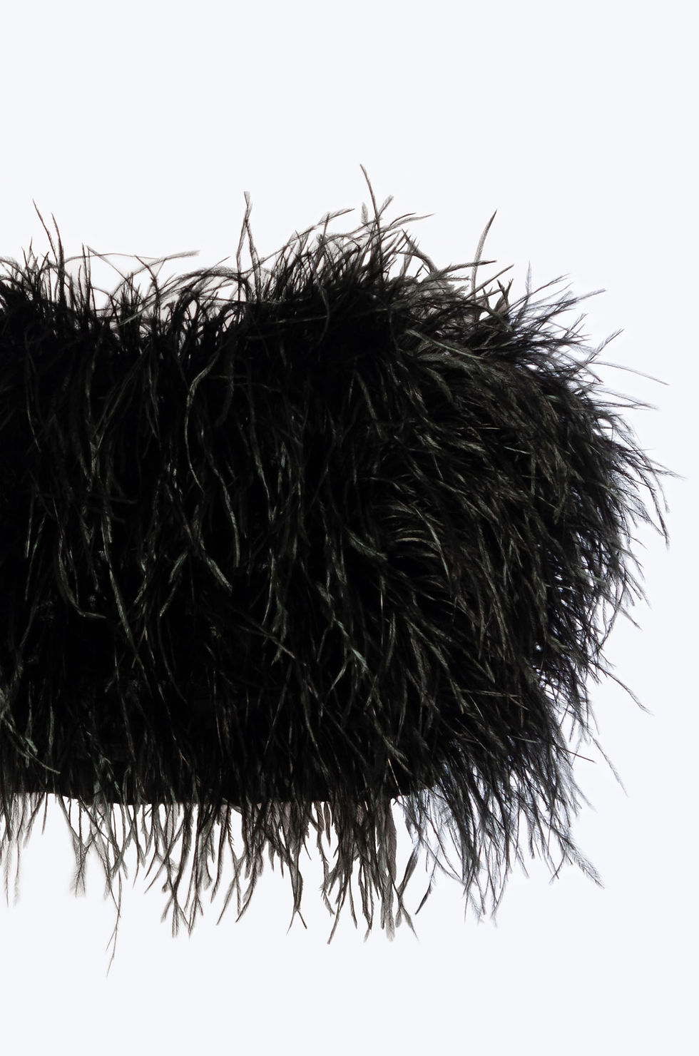 Thumbnail: Ostrich Feathers Top