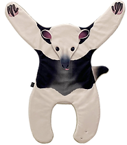 コアリクイ.png