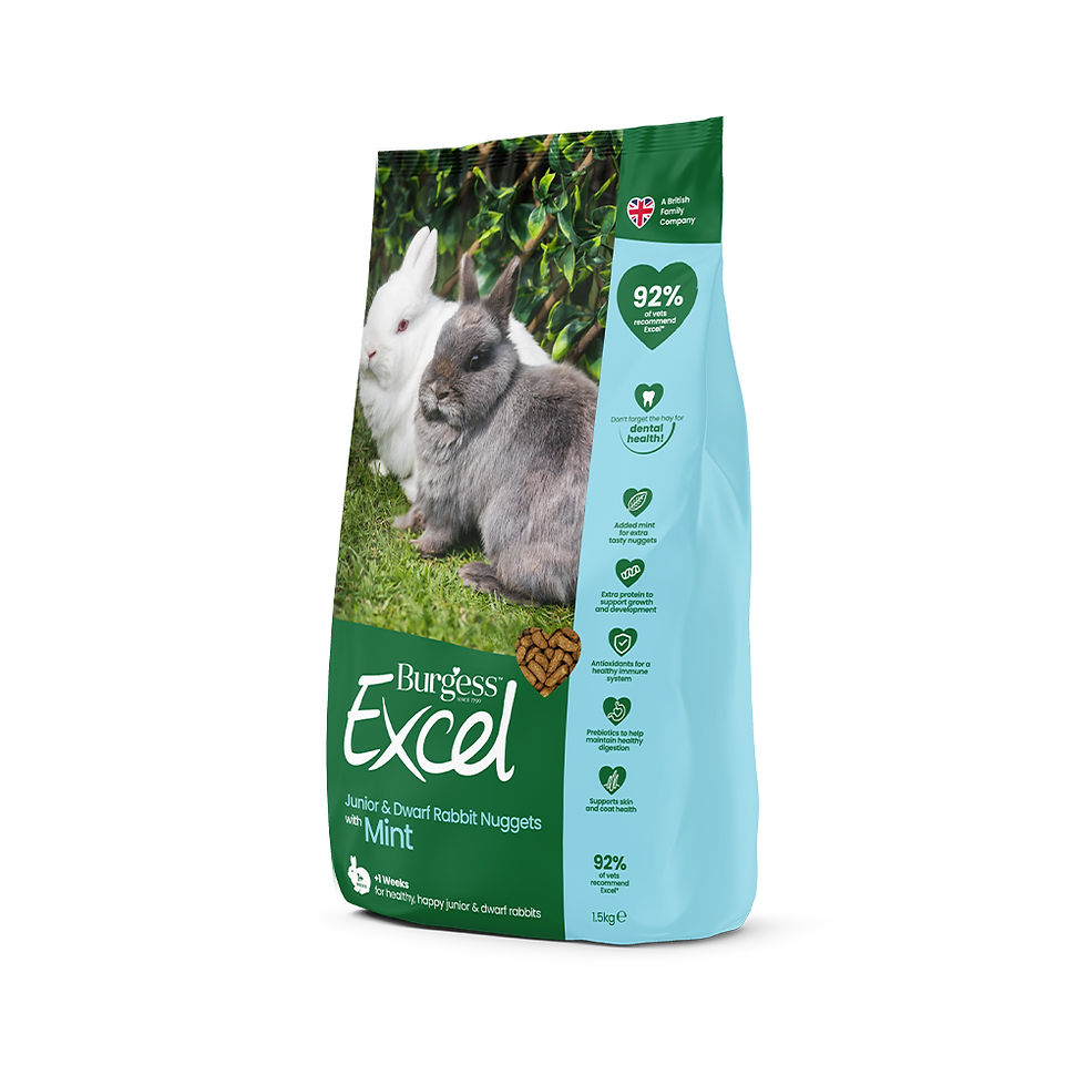Burgess Excel Junior & Dwarf Rabbit Nuggets with Mint