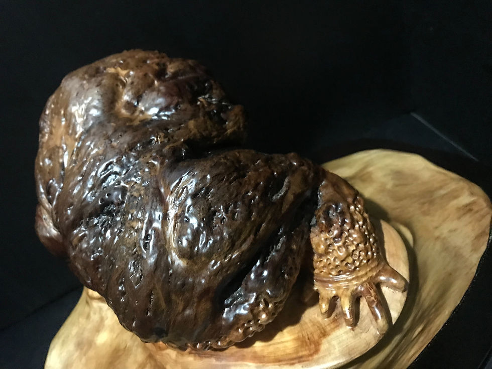 縮圖：招財金蟾