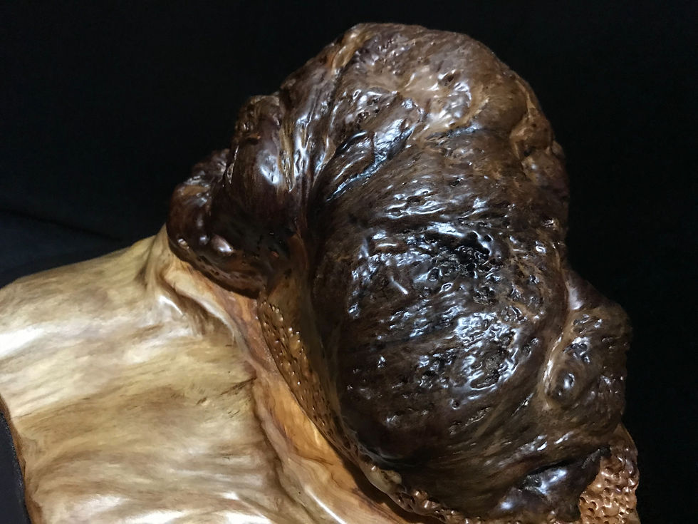 縮圖：招財金蟾