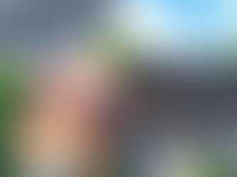 Metal Roofing vs. Shingle Roofing – Which Lasts Longer in Georgia?