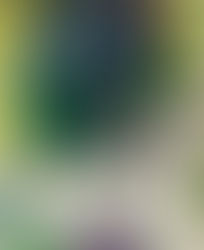 Maalauksia 2017 viimeisiltä kuukausilta ja 2018 Tammikuulta