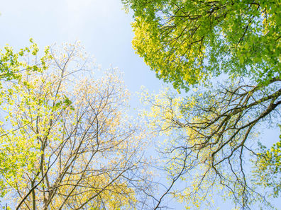 Der Kontrapunkt zur Digitalisierung