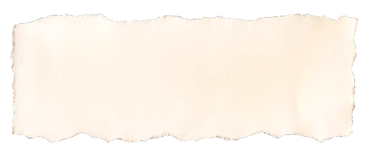 c797524514c051de7787f8a2bd887e13-removeb