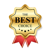 Best Seller Cheerful Lab