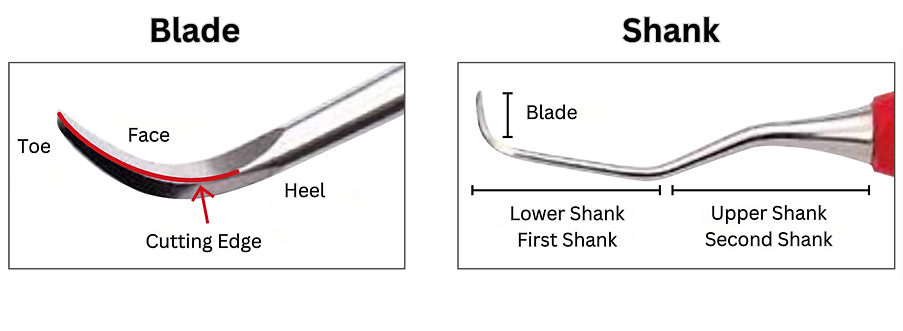 SD Dental Scaler