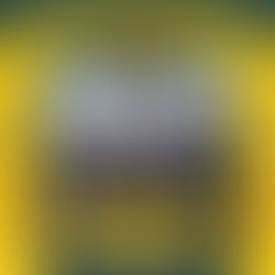 🎶 The Equators join The Skegness Reggae & Ska Festival 2026 ❤️💛💚