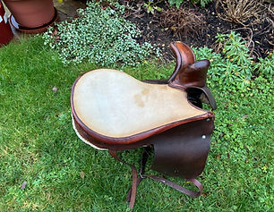 107. Image Three.jpeg