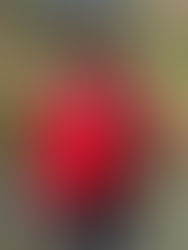 Bae Bae Savo with New Beat Box Freestyle & Visual