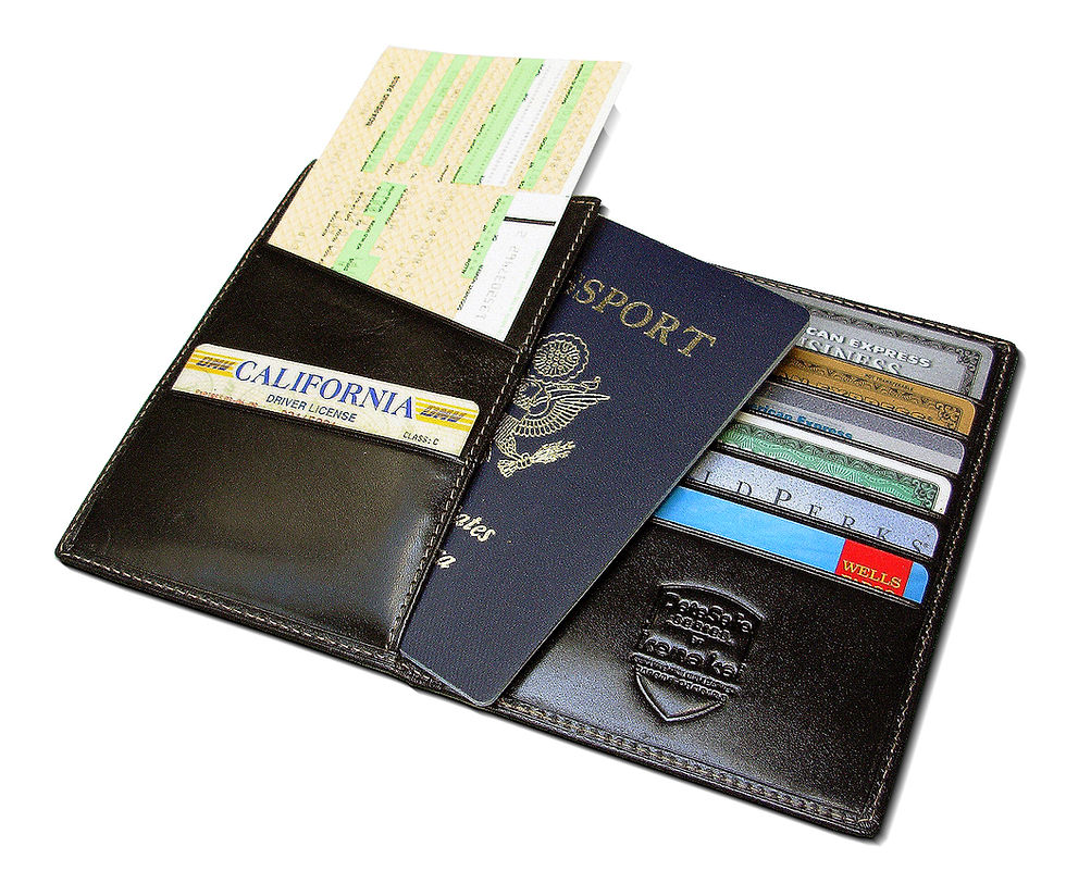 Thumbnail: DataSafe® Italian Leather Passport Security Wallets - Black or Brown
