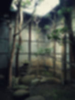 Japanese garden