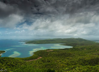 La_caravelle_Martinique.jpg