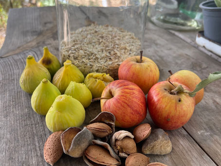 Harvested Honey figs, red-yellow Gala apples, and Ferraduel almonds sit in front of a clear jar of oats on a rustic outdoor table.