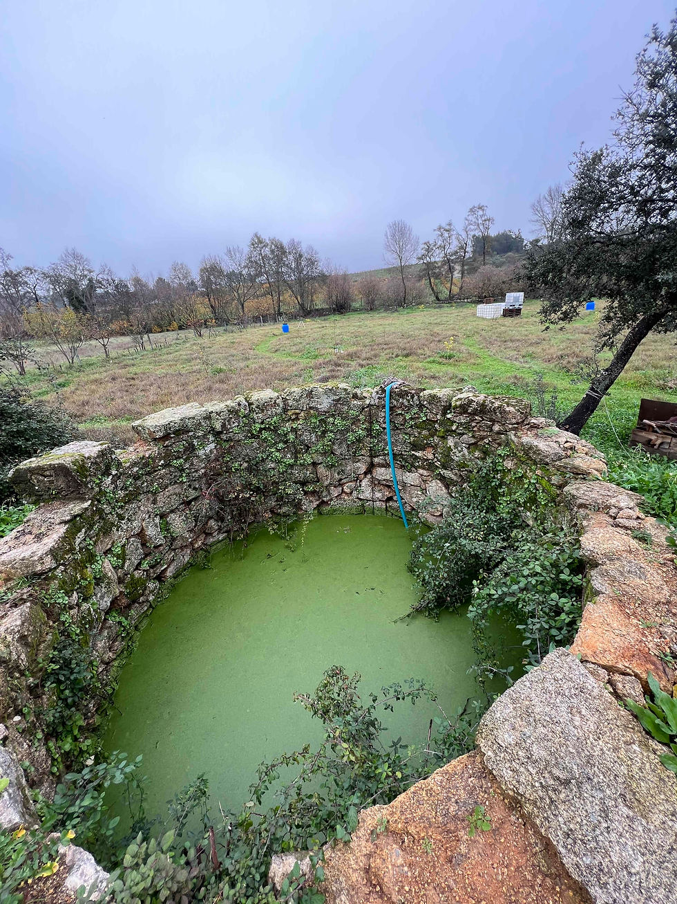 Old circular stone well filled with green, algae-covered water, with a blue hose draped over the rim and fields beyond.