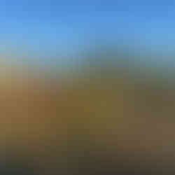 Small Casuarina centered in a homestead scene with granite stone house, a red Manitou vehicle, and evening light.