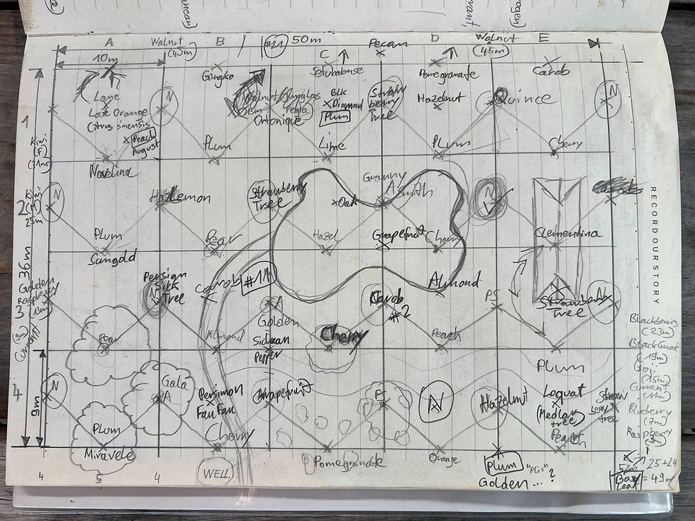 a hand drawn food forest grid with tree trio layout on a notebook page of Herman Kraut, a permaculture designer.