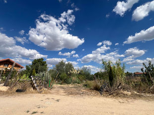 Wide view of the quinta entrance under a cloudy blue sky, cypress and pampas visible along the fence line.