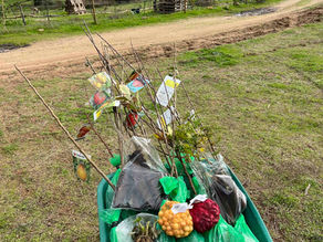 Wheelbarrow loaded with nursery plants wrapped in green bags and bare-root saplings on a farm track.