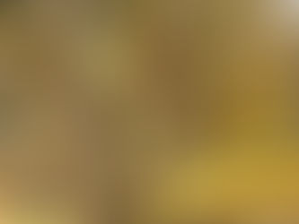 Detailed view of a Giant Reed stalk showing purple-tinged nodes and fading leaf blades.