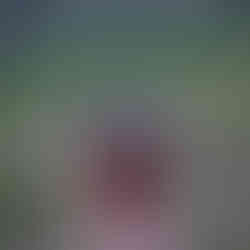 A hand holding a small plastic pot containing a young Senecio stapeliiformis plant, with a garden scene blurred in the background.