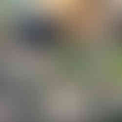 Small kitchen-garden beside a wooden porch, with mulched beds, young vegetables, log edging, and a solar path light; tools and pots visible on the deck.