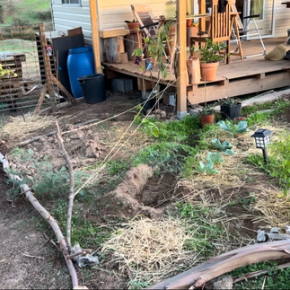 Small kitchen-garden beside a wooden porch, with mulched beds, young vegetables, log edging, and a solar path light; tools and pots visible on the deck.