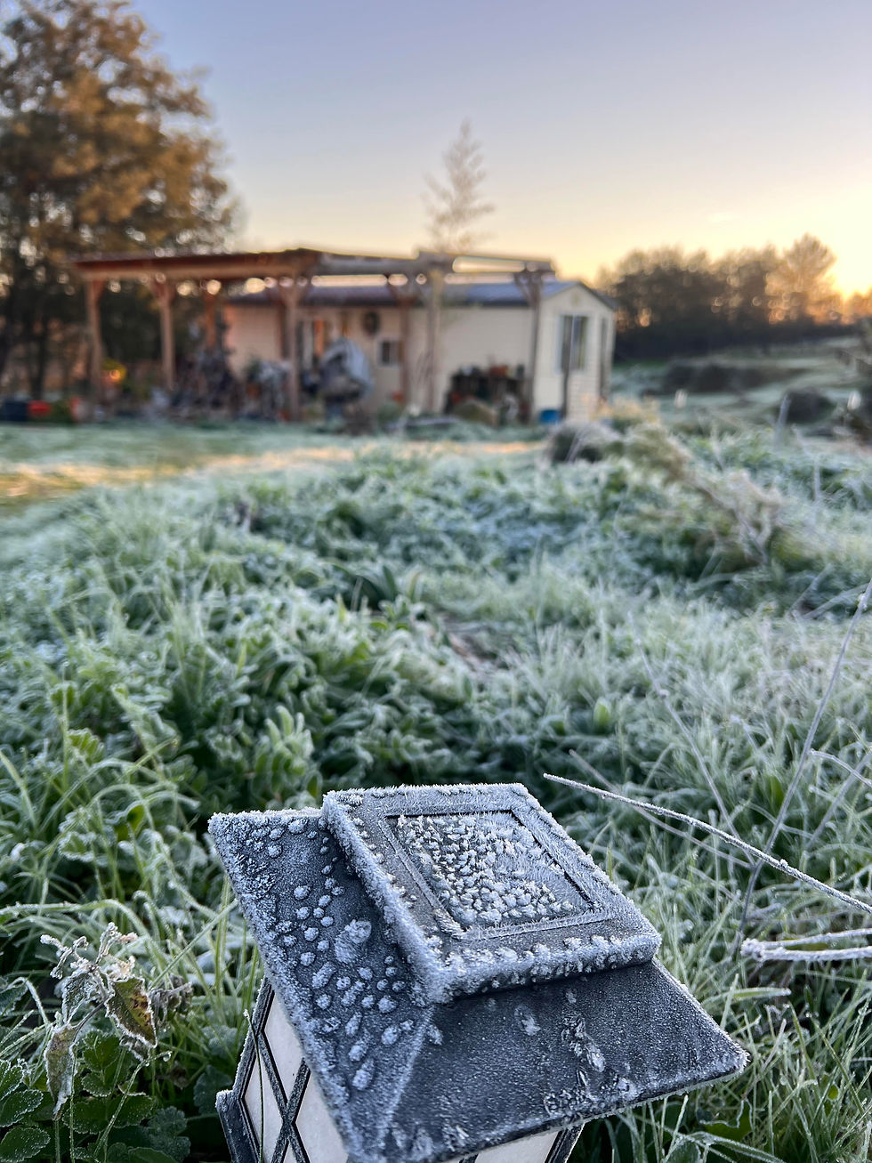 Frost-covered garden at sunrise with a solar lantern in the foreground and a small building in the distance.