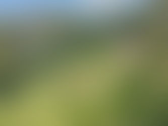 Layered hillside terraces and red-roofed houses in Sistelo nestled in a lush valley, with wind turbines visible in the distance.