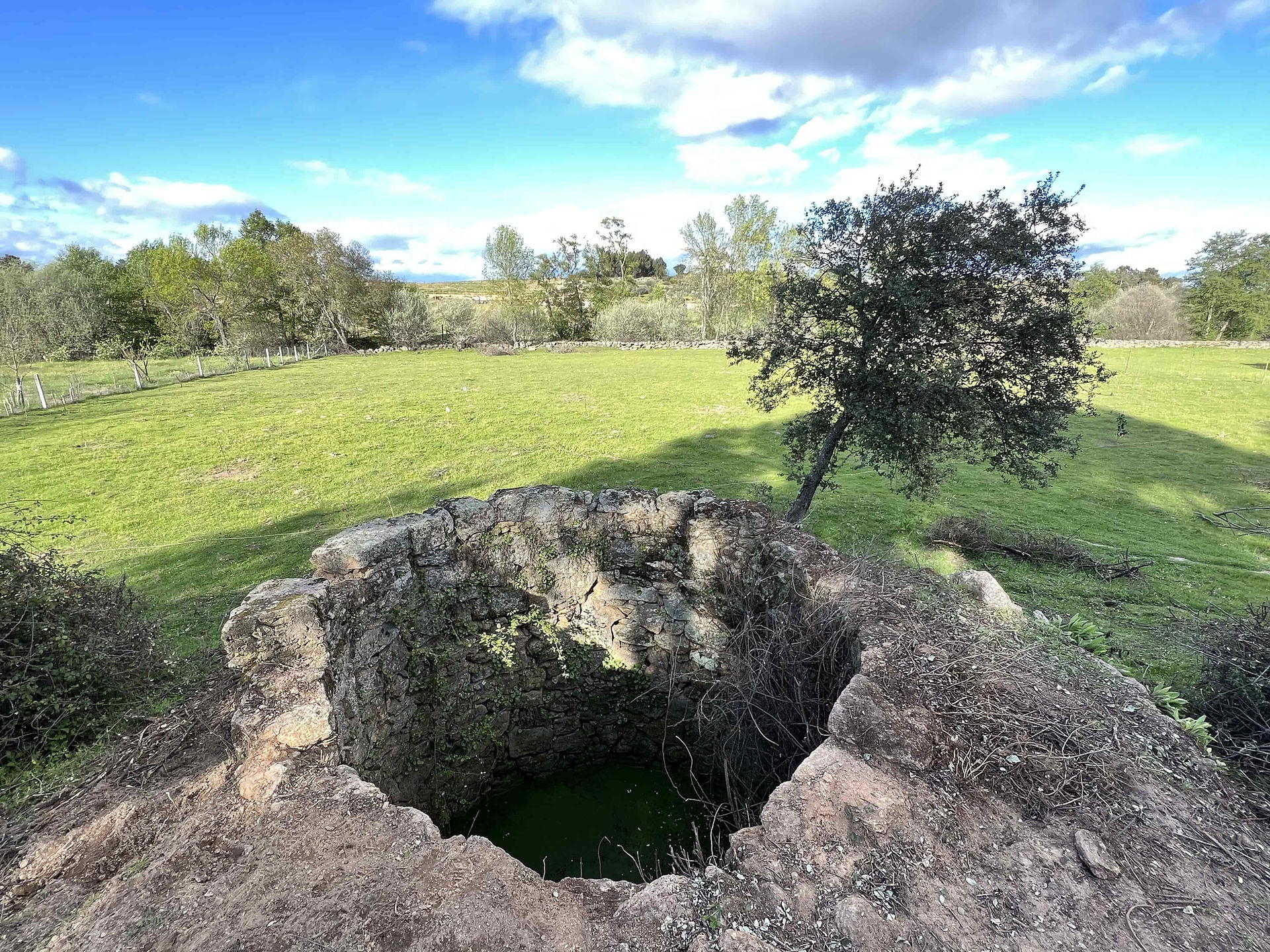 Circular stone-lined well in the foreground, with an Iberian Holm Oak beside a broad green pasture under a cloudy sky.