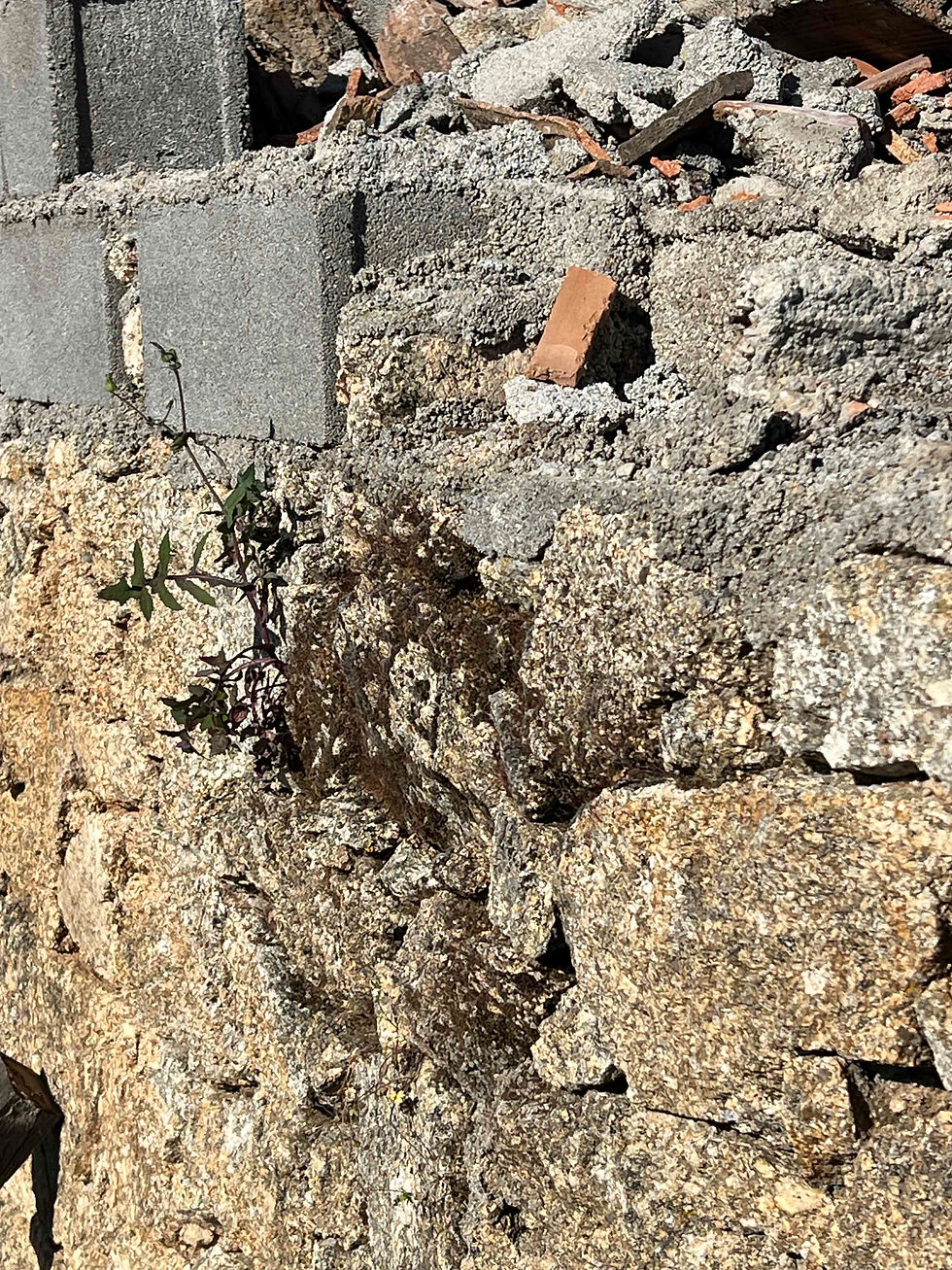 Close-up of a rough stone-and-concrete wall, with a mossy patch, capped with cinder blocks and construction debris.