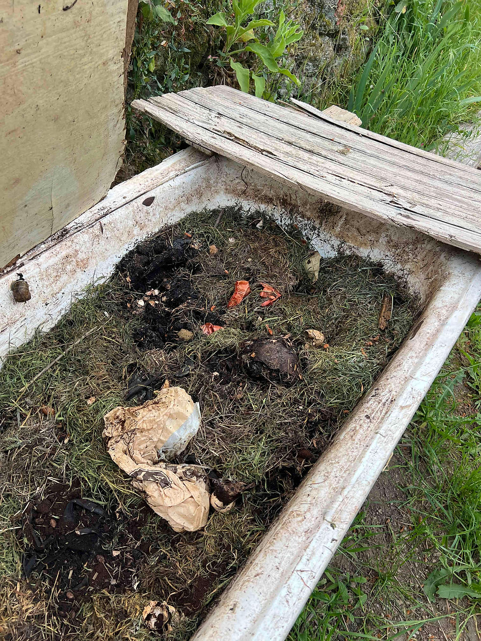 Close-up of vermicompost inside a tub, showing grass clippings, food scraps, and paper partially decomposing.