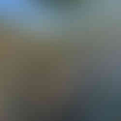 Young American cranberry shrub with red-tipped leaves growing beneath a small tree, with dry grasses, a cactus pad, and a raised water tank in the distance.