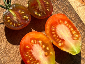 Close-up of sliced tomatoes on a rustic wood surface featuring two darker, almost black cherry tomato halves with greenish edges alongside two orange-red elongated tomato halves revealing their seed-filled cores.