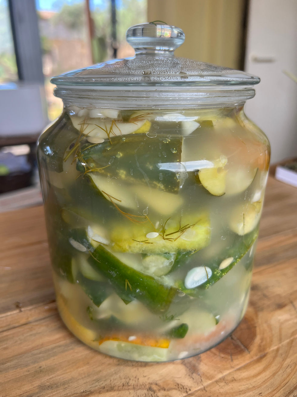 Glass jar of home-grown cucumbers and dill pickles, filled with brine, placed on a rustic wooden surface.