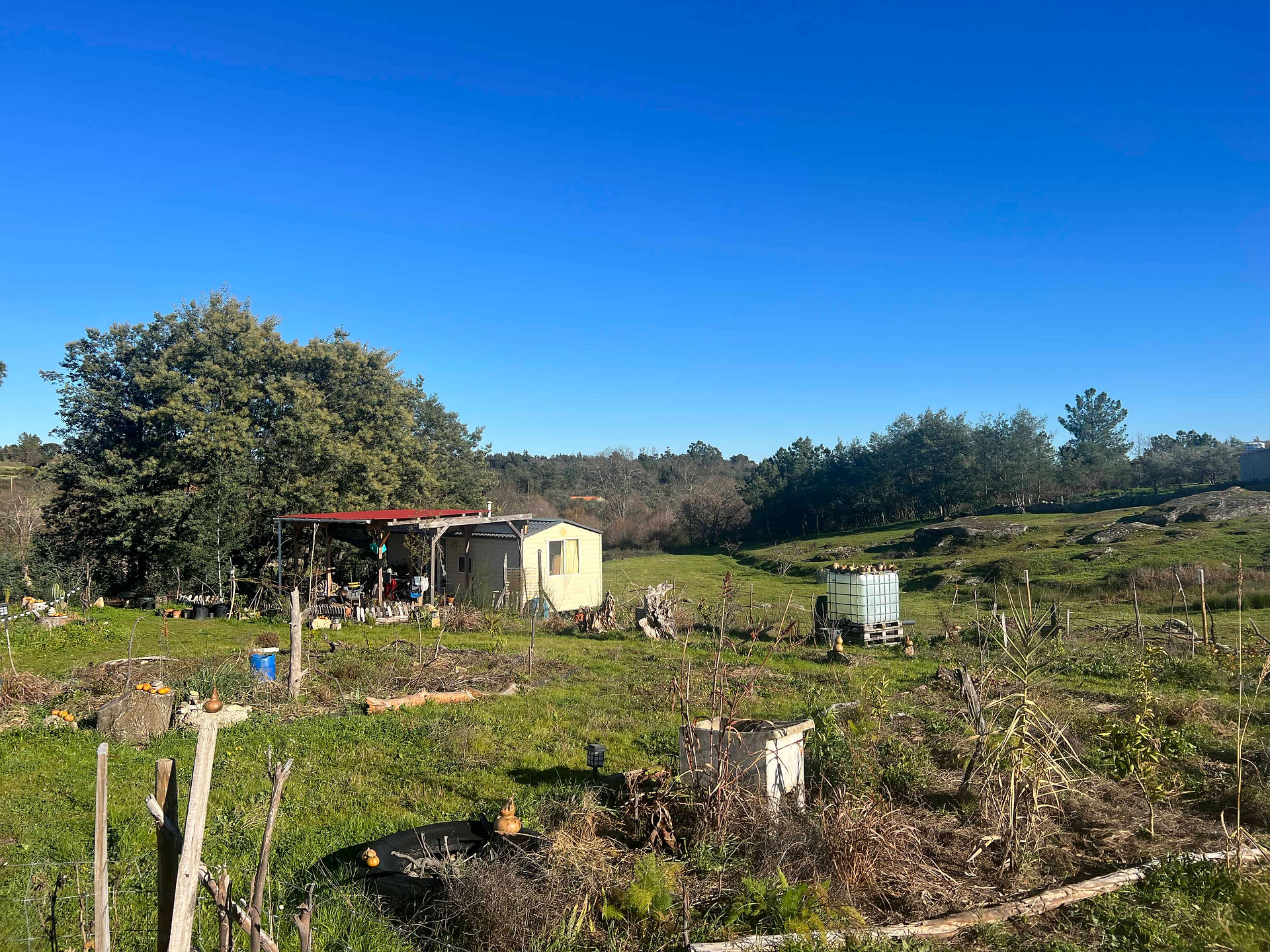 Rural scene with a small cabin and shade structure, scattered garden beds, and an IBC water tank on pallets beneath a clear blue sky.