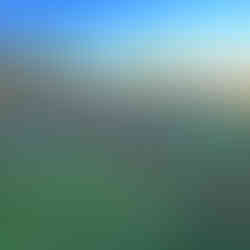 Early morning scene of parallel garden trenches and mulched planting spots; a wheelbarrow and water tanks scattered in a large field.