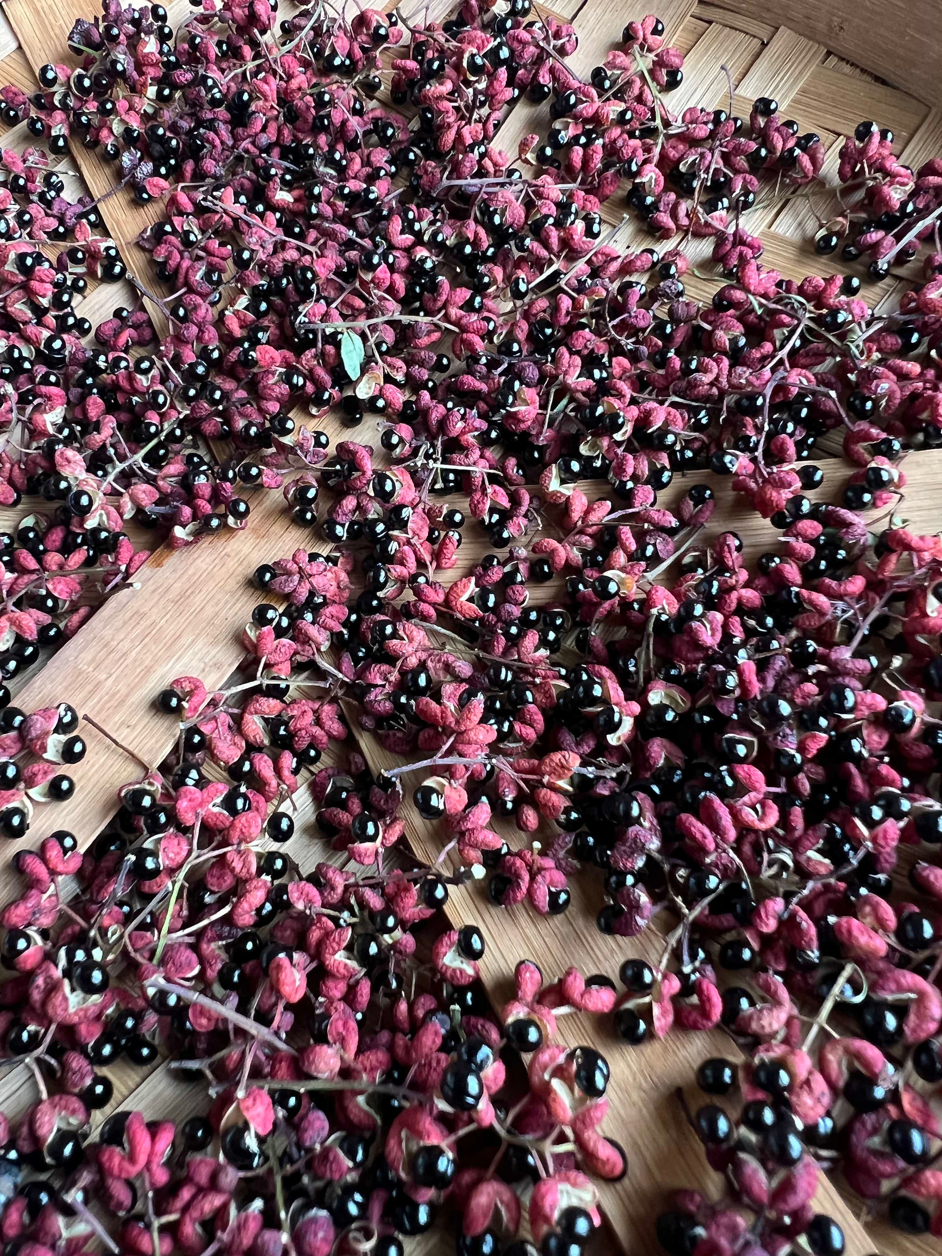A rustic bamboo tray covered in clusters of crimson peppercorn pods, each bursting open to expose smooth, jet-black seeds ready for drying.
